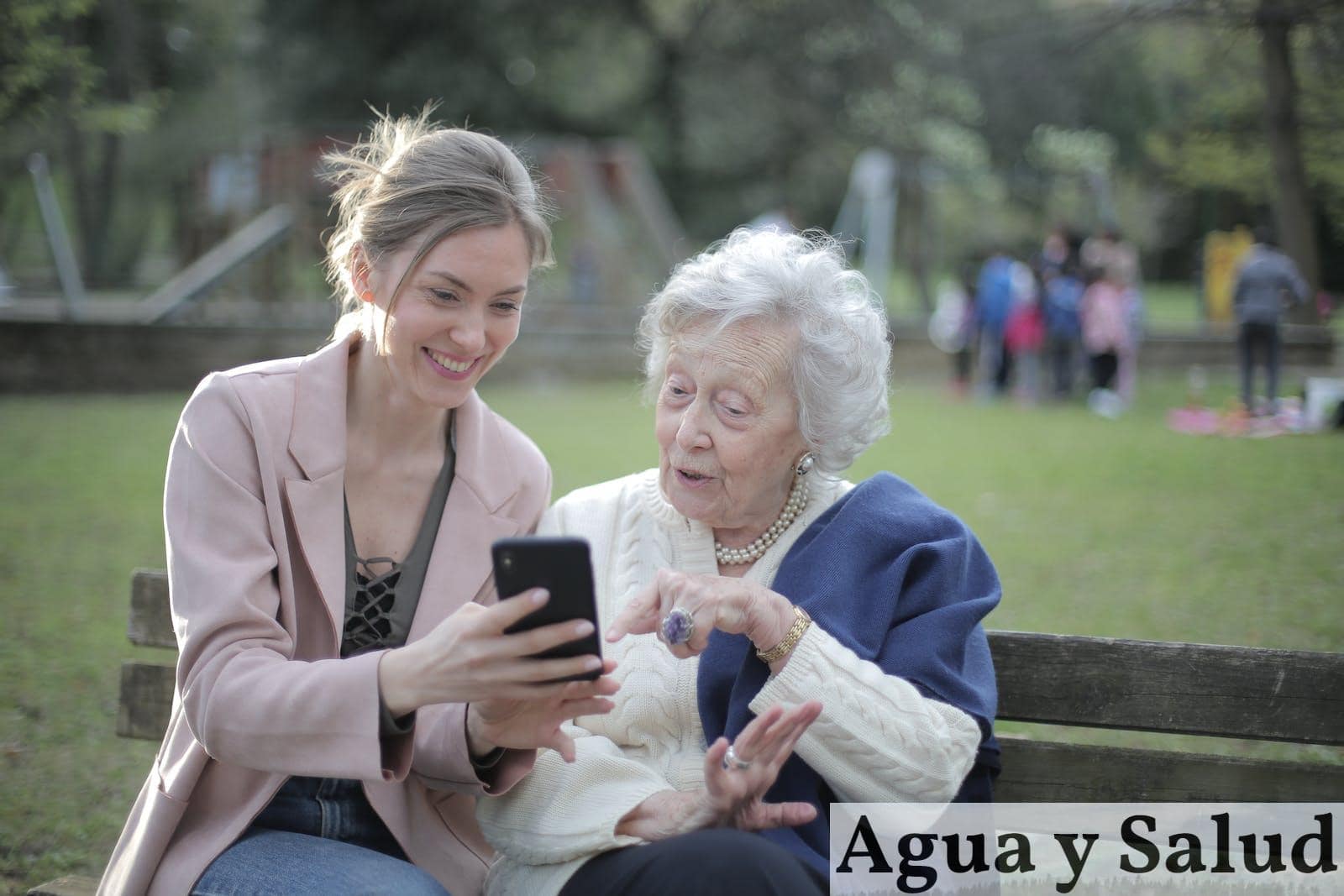 Delighted female relatives sitting together on wooden bench in park and browsing mobile phone while learning using