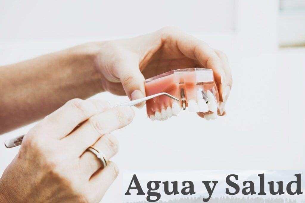 dentista