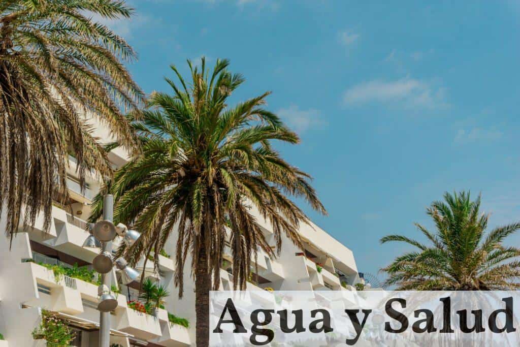 green palm tree near white concrete building during daytime