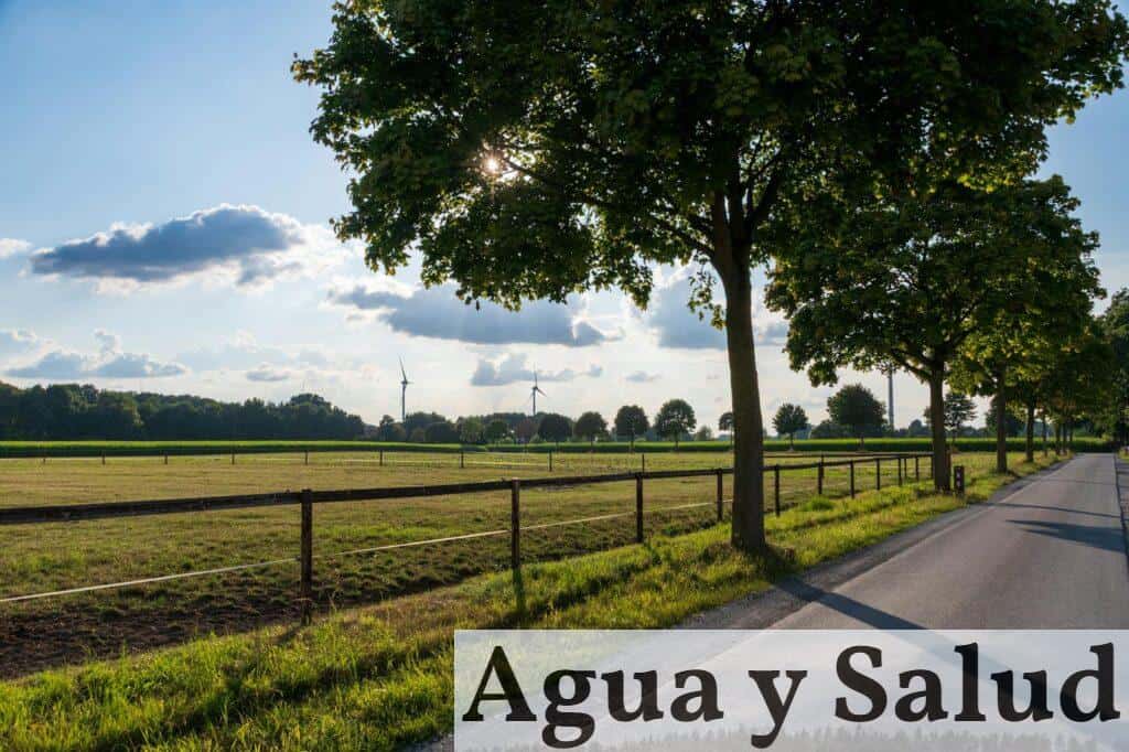 certificado energético y cuándo lo necesitas