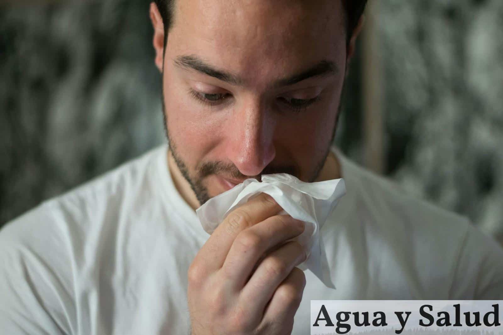 ¿Cómo curar la alergia primaveral?