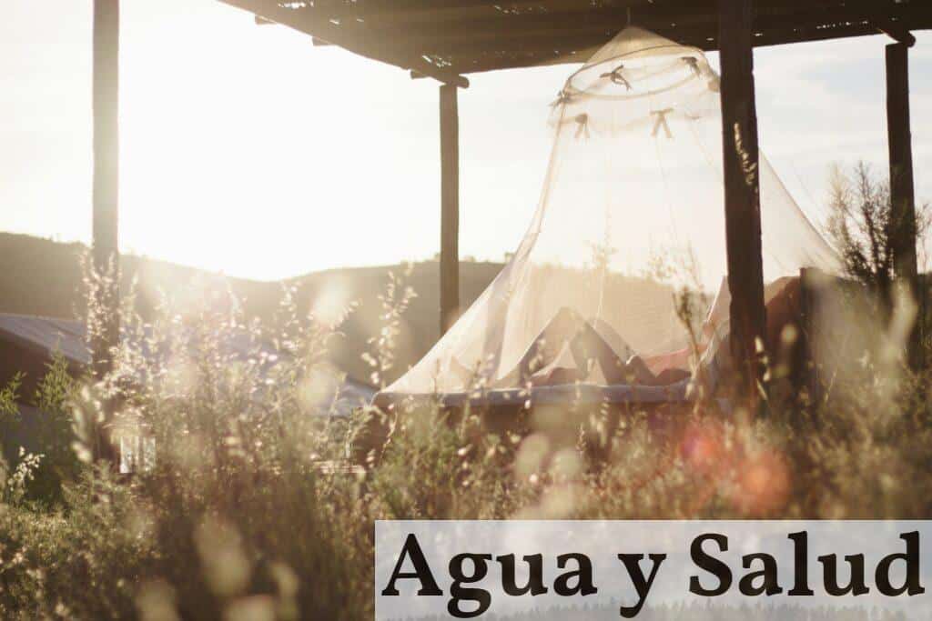 ¿Quién invento las mosquiteras?