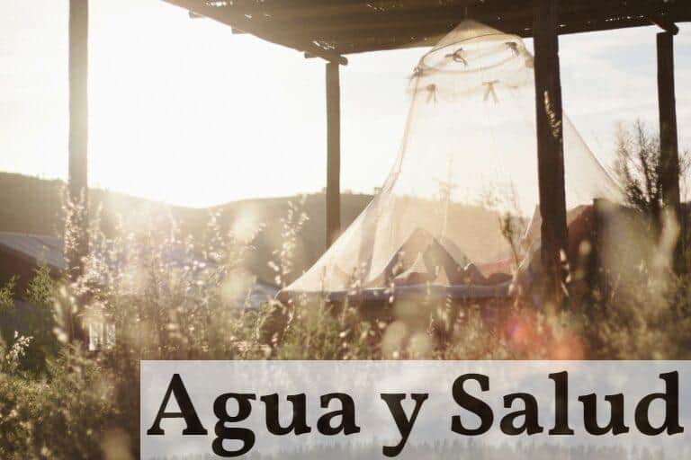¿Quién invento las mosquiteras?