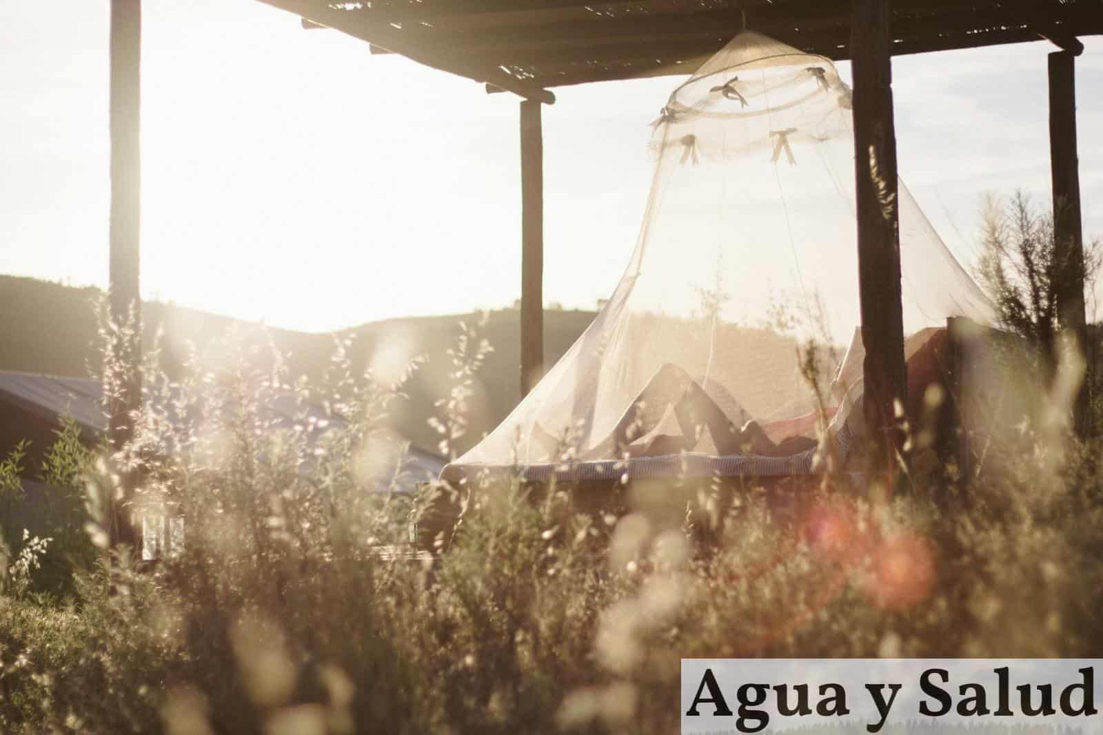 ¿Quién invento las mosquiteras?