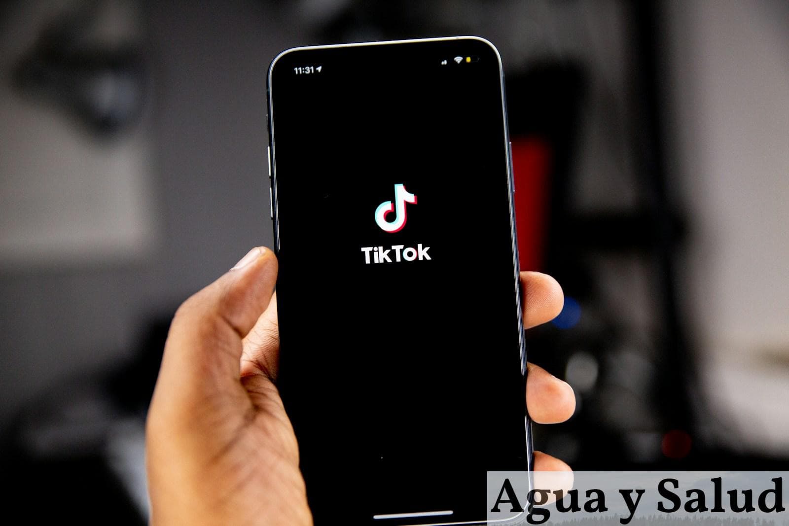Curiosidades sobre tik tok que no conocías