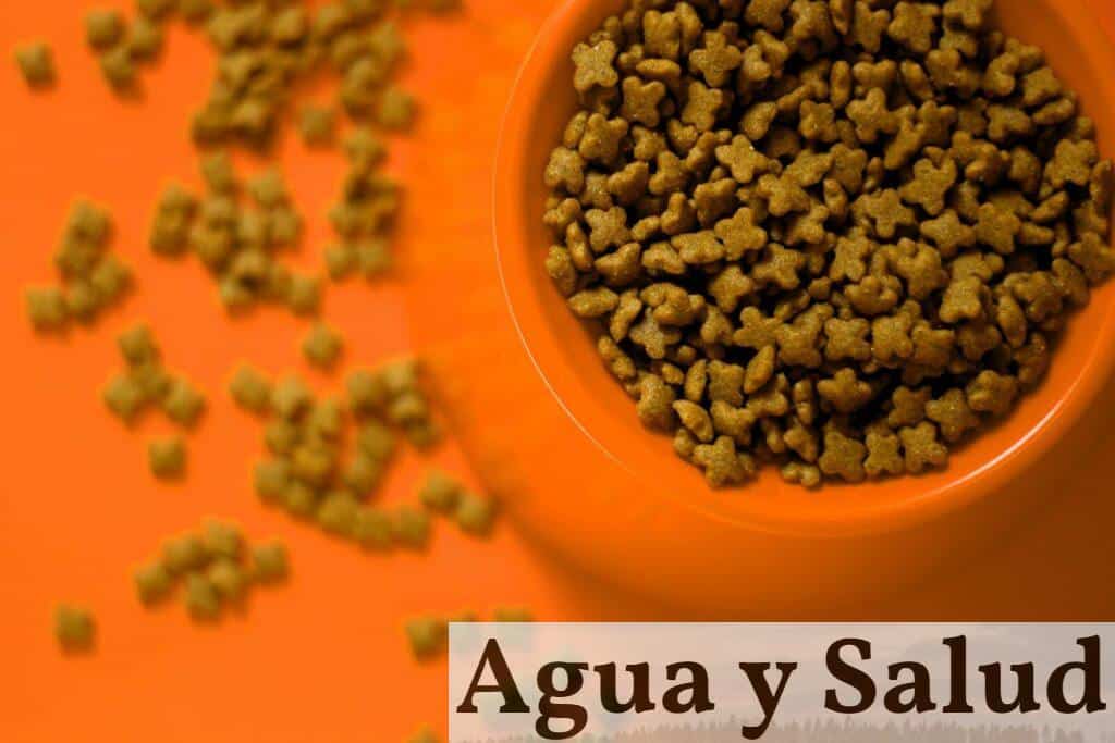 funcionamiento cadena de suministro del sector pet food