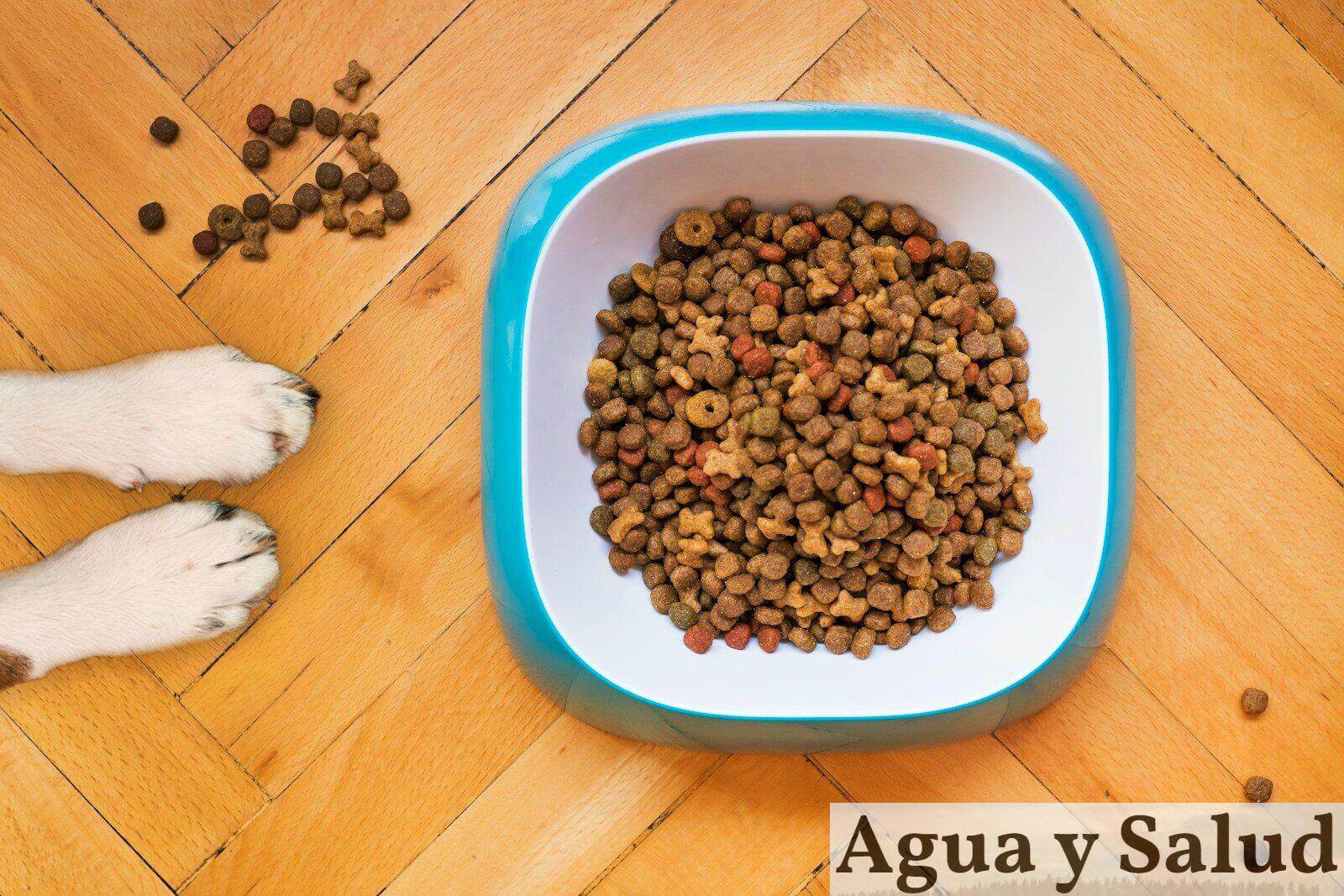 Cómo funciona la cadena de suministro del sector pet food